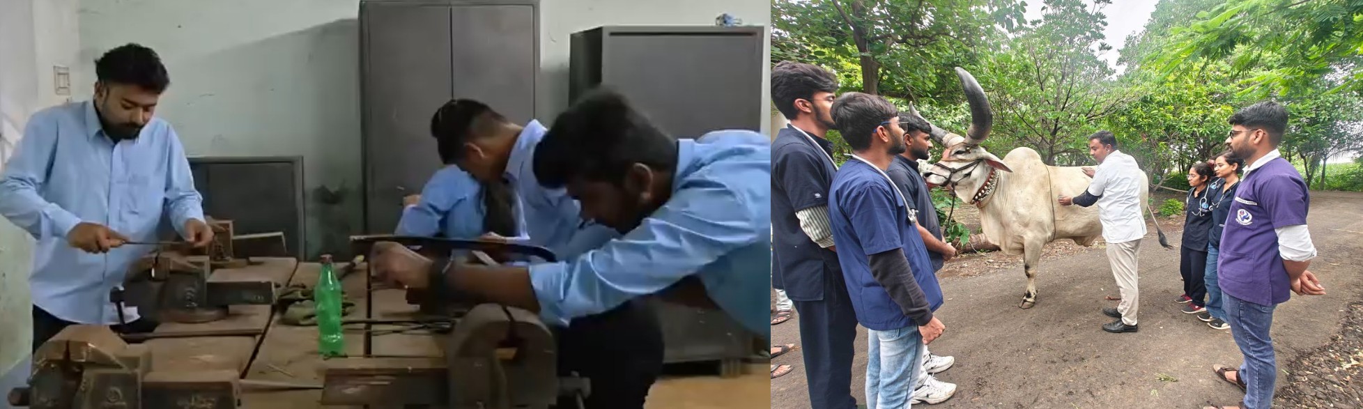 makkalvudagam