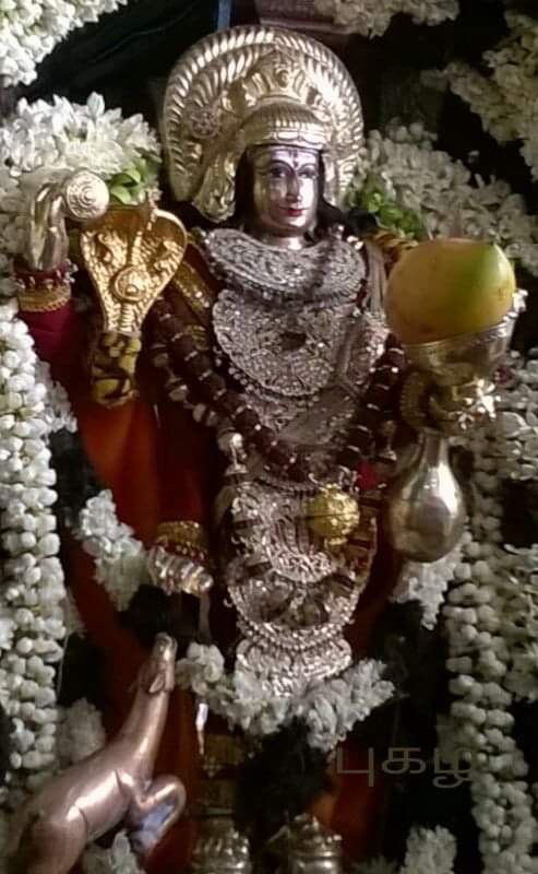 makkalvudagam