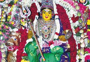 makkalvudagam