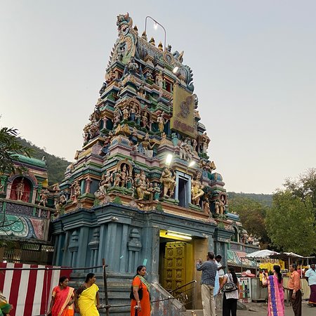 makkalvudagam