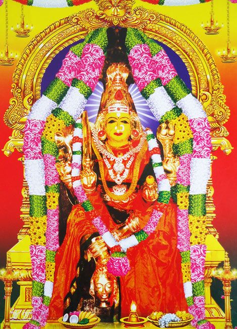 makkalvudagam