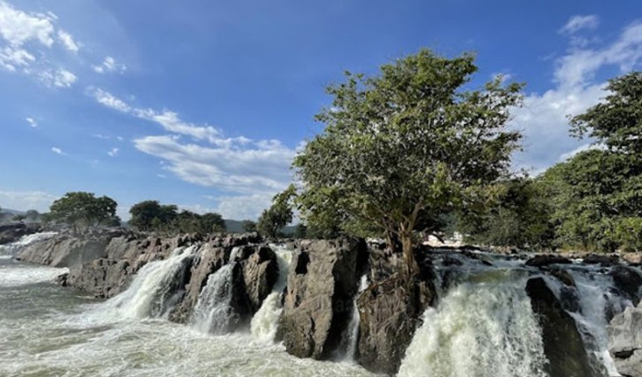 makkalvudagam