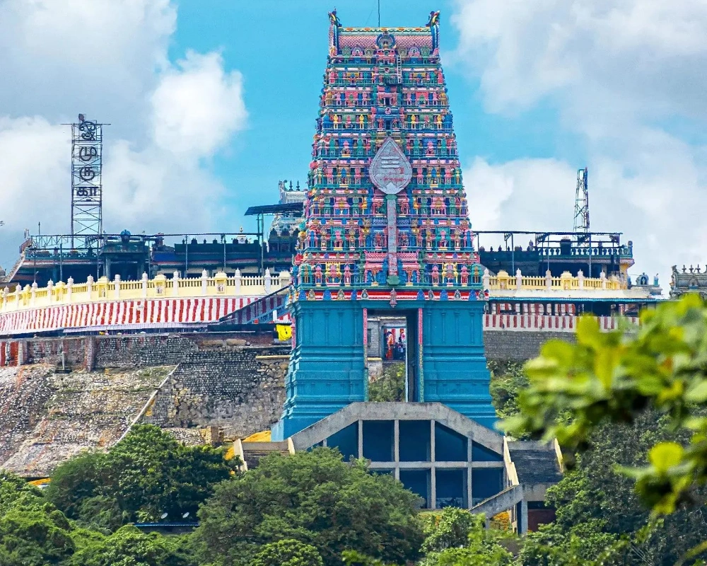 makkalvudagam