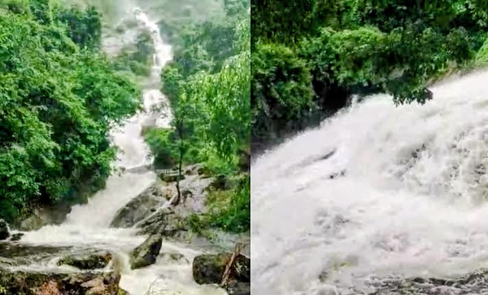 makkalvudagam
